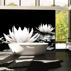 Fototapeta - Water lilies on the abstract surface 300x231 cm