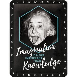 Nostalgic Art Plechová ceduľa: Einstein (Imagination & Knowledge) - 20x15 cm
