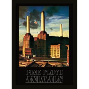 Rámovaný Obraz - Pink Floyd - Animals
