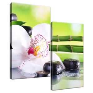 Obraz na plátne Biela orchidea a kamene 60x60cm 1995A_2A
