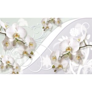 Donga Fototapeta: Biela orchidea (vzor) - 254x368 cm
