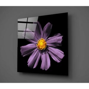 Čierno-fialový sklenený obraz Insigne Flowerina, 30 × 30 cm