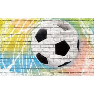 Donga Fototapeta: Futbalová lopta (maľovaný) - 184x254 cm