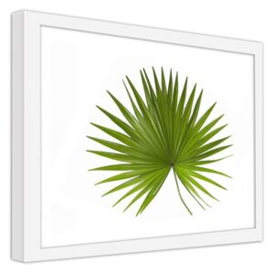 CARO Obraz v ráme - Palm Leaf 40x30 cm Biela
