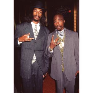 Plagát, Obraz - Snoop Dogg & Tupac - Suits, (59,4 x 84,1 cm)