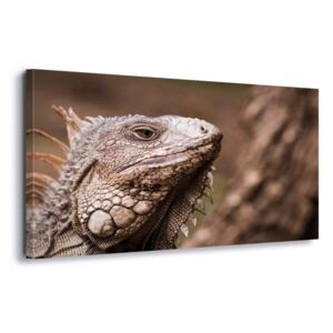 Obraz na plátne - Lizard Look 4 x 30x80 cm