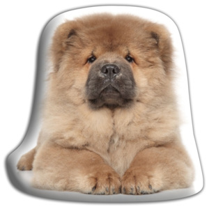 Vankúšik Adorable Cushions Čau-čau