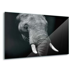 Sklenený obraz - Shades Of Grey 4 x 30x80 cm