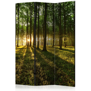 Paraván - Morning in the Forest [Room Dividers] 135x172 7-10 dní