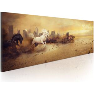 Bimago Obraz na plátne - City of stallions 120x40 cm