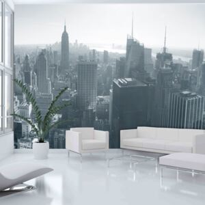 Fototapeta - New York City skyline černá a bílá 200x154 cm