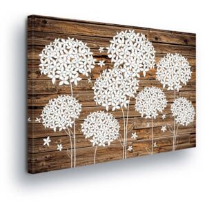 Obraz na plátne - White-leaved Flowers on a Brown Background 80x60 cm