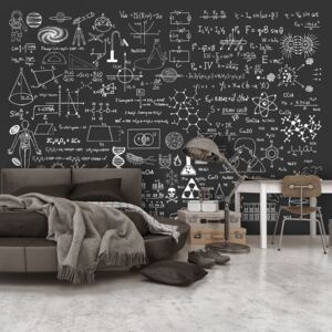 Fototapeta Bimago - Science on Chalkboard + lepidlo zadarmo 300x210 cm