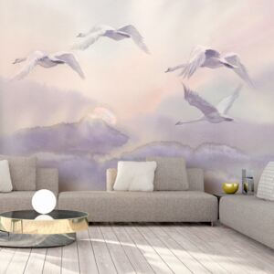 Fototapeta Bimago - Flying Swans + lepidlo zadarmo 250x175 cm
