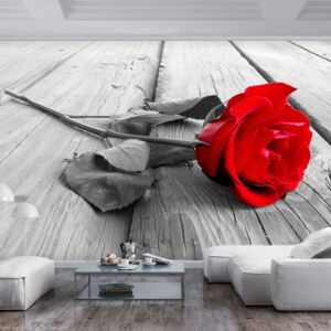 Fototapeta Bimago - Abandoned Rose + lepidlo zadarmo 200x140 cm