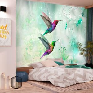 Fototapeta Bimago - Colourful Hummingbirds (Green) + lepidlo zadarmo 250x175 cm