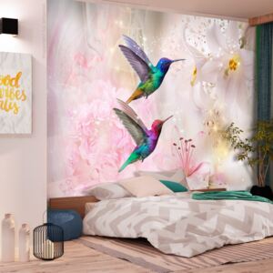 Fototapeta Bimago - Colourful Hummingbirds (Pink) + lepidlo zadarmo 250x175 cm