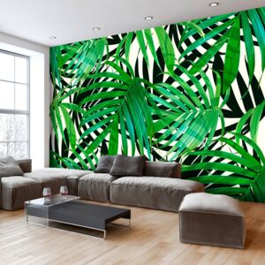 Fototapeta Bimago - Tropical Leaves + lepidlo zadarmo 250x175 cm