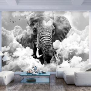 Fototapeta Bimago - Elephant in the Clouds (Black and White) + lepidlo zadarmo 300x210 cm