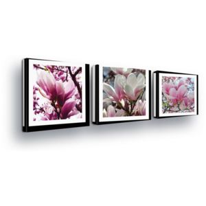 Obraz na plátne - Pink Flowers in the Passepartout 3 x 25x25 cm