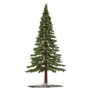 Vianočný stromček Borovica extra do interiéru 500cm