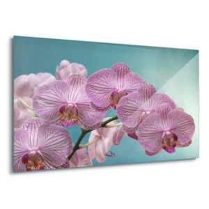 Sklenený obraz - Orchid Elegance 4 x 30x80 cm