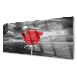 Nástenný panel  Ruže Kvet Rastlina