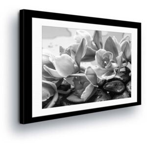 GLIX Obraz na plátne - Black and white Flowers in Paspart II 60x40 cm