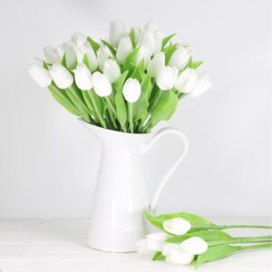 Jarný tulipán - biely 1 ks