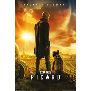 Plagát, Obraz - Star Trek: Picard - Picard Number One, (61 x 91,5 cm)