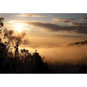 Donga Fototapeta: Východ slnka nad hmlovým lesom - 254x368 cm