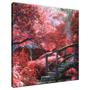 Obraz na plátne Japonská záhrada do červena 30x30cm 2545A_1AI