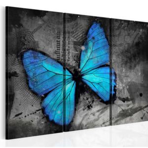 Obraz na plátne - The study of butterfly - triptych 60x40 cm