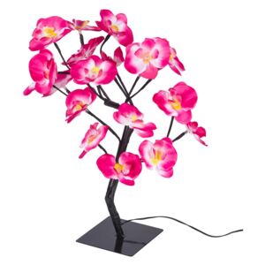 LED strom Orchidea