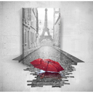 Nástenný 3D obraz Mosticx Red Umbrella In Paris, 40 × 60 cm
