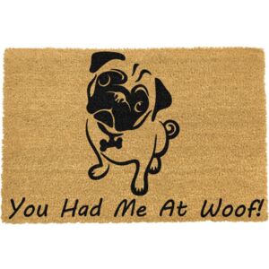 Rohožka Artsy Doormats You Had Me At Woof Pug, 40 × 60 cm
