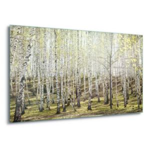 Sklenený obraz - Birch Forest 4 x 30x80 cm