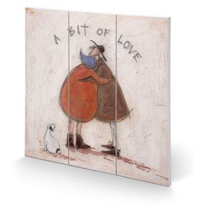 Obraz na dreve Sam Toft - A Bit of Love, (30 x 30 cm)