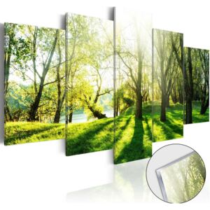 Obraz na skle Bimago - Green Glade 100x50 cm