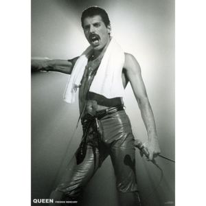 Plagát, Obraz - Queen (Freddie Mercury) - Live On Stage, (59,4 x 84 cm)