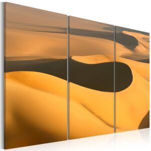 Obraz na plátne - Nekonečná poušť 60x40 cm
