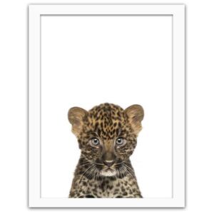 CARO Obraz v ráme - Little Leopard 30x40 cm