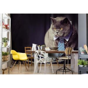 Fototapeta - Cat Boss Vliesová tapeta - 368x254 cm