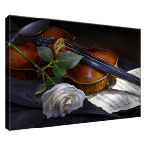 Obraz na plátne Husle a biela ruža 30x20cm 2349A_1T