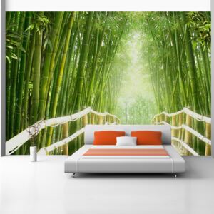 Bimago Fototapeta - Magical world of green 400x280 cm