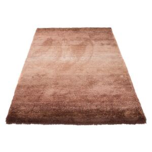 Luxusný kusový koberec Hmla hnedý, Velikosti 60x100cm