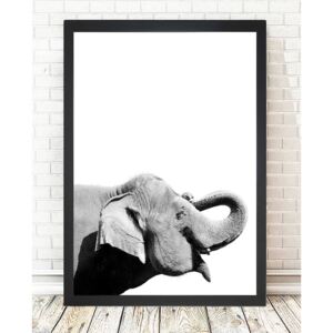 Obraz Tablo Center Elephant, 24 × 29 cm