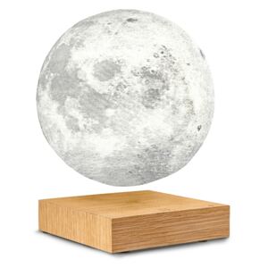 Lampa "Moon", jaseň - Gingko