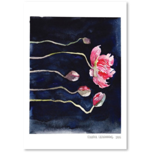 Plagát Blooms on Black III, 30 × 42 cm