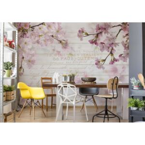 Fototapeta - Vintage Chic Cherry Blossom Wood Planks Papírová tapeta - 368x280 cm